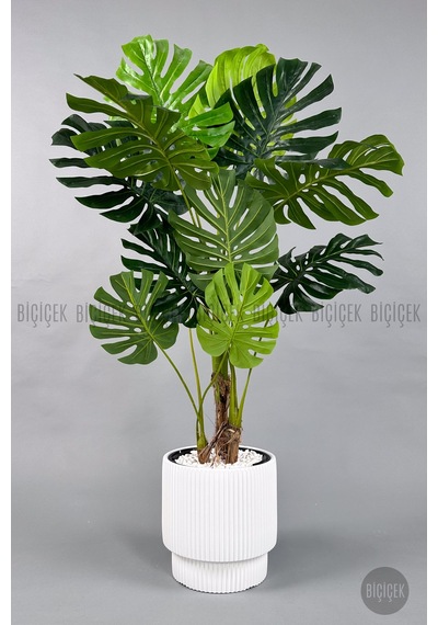 Biçiçek Yapay Monstera Ağacı Deve Tabani 160 Cm Beyaz Vega Saksıda