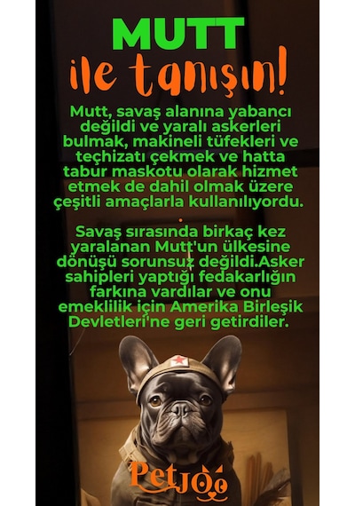 Petjoo 10.Mutt Turuncu-Yeşil Qr'lı Köpek Künyesi