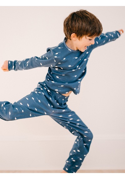 Antebies Organik Lacivert Kutup Ayısı Erkek Çocuk Pijama Takımı Renkli