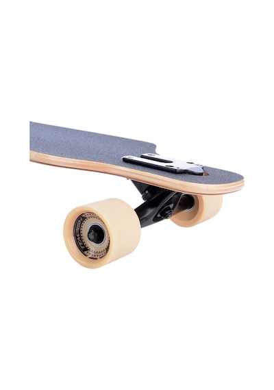 Tempish Coon Longboard Çok Renkli