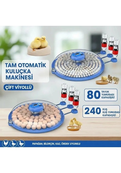 Tam Otomatik Kuluçka Makinesi Çift Viyollü - 80 Tavuk Ve 240 Bıldırcın Kapasiteli Bx-316172