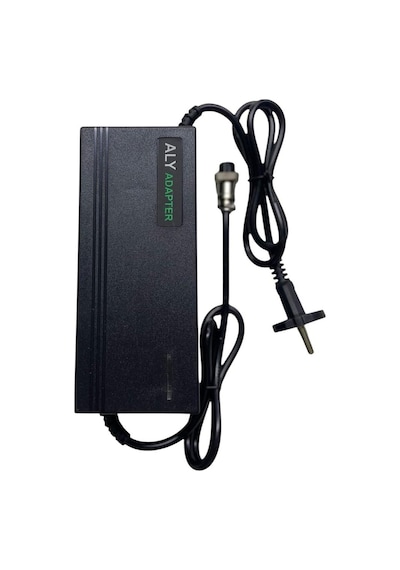 54.6 Volt 3 Ah Lion Batarya Şarj Cihazı