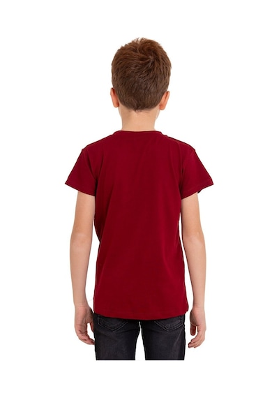 Bordo Kaplan Baskılı Bisiklet Yaka 5-16 Yaş Tişört 2008-6 Bordo