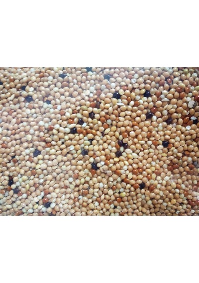 Versele Laga Col. Pickstone Red Güvercin Mineral Dest.