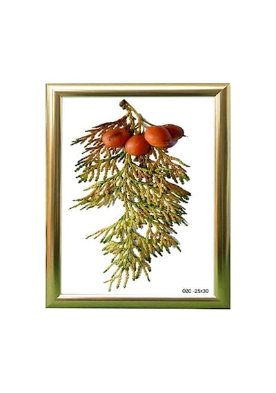 Ayrex Hediyelik Çerçeve Ev Home Ofis Kişiye Özel Resim Çerçevesi Masaüstü 25x30 25x30-lam22-gümüş