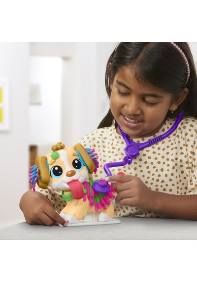 Play-doh Care'n Carry Vet Oyun Hamur Seti Çok Renkli