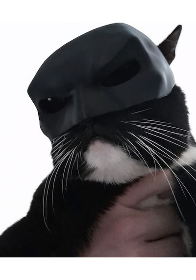 Kedi & Küçük Evcil Hayvanlar İçin Siyah Maske Dekoratif Eğlenceli Fotoğraf Maskesi Hafif
