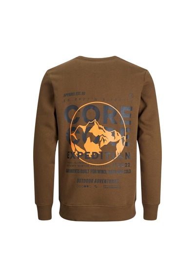 Jack & Jones Erkek Sırt Baskılı Sweatshirt 12223238 001