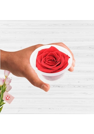 Süsle Bebek Ve Parti Şoklanmış Solmayan Gül, 5 Cm - Kırmızı Çok Renkli