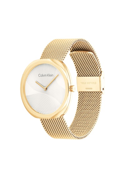 Calvin Klein CK25200246 Kadın Kol Saati