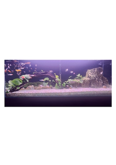 Akvaryum Arkası Siyah Piano Black Fon 150 x 50 CM Hava Kanallı Ragle + Maket Bıçağı