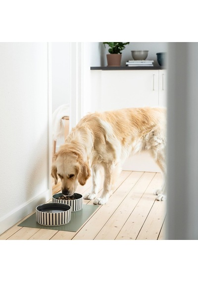 Kedi/köpek Mama Kabı, Çok Renkli, 19 Cm