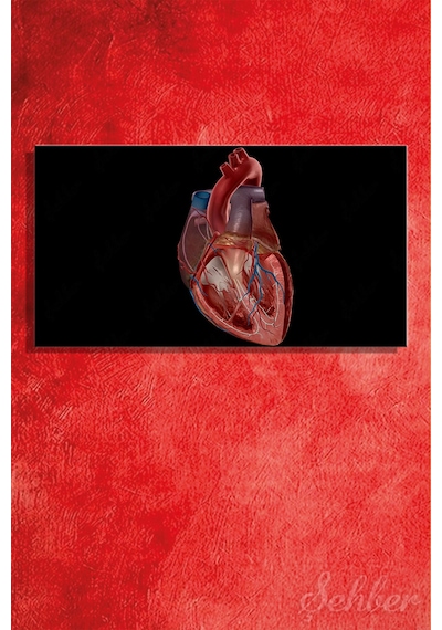 İnsan Kalbinin Anatomik Yapısını Gösteren Detaylı Bir Tıbbi Renkli Çizim Yatay Kanvas Tablo Tekli 3542