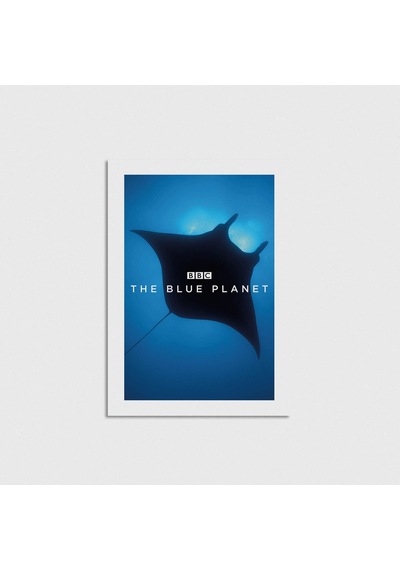 The Blue Planet Dizi Posteri Çerçevesiz Poster Duvar Dekorasyonu Pn11p454