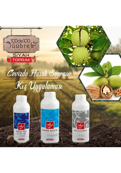 Ceviz Ağaçlarında Hasat Sonrası Kış Uygulaması Seti