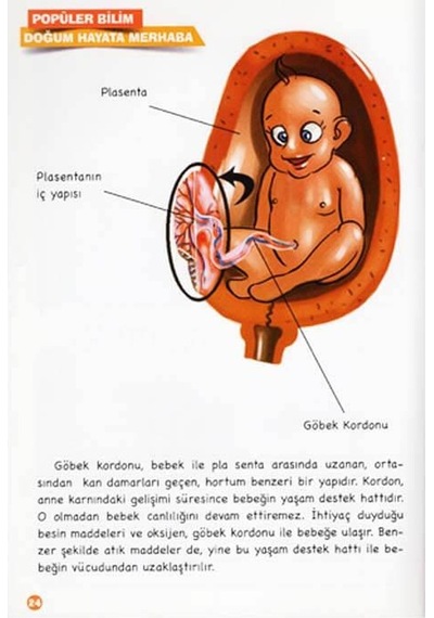 Popüler Bilim Vücudumuz Dizisi - Doğum / Hayata Merhaba - Sema Gül - Timaş Çocuk