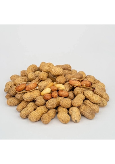 Yer Fıstığı Koza Tuzlu 1000 Gr 1 Kg Diğer