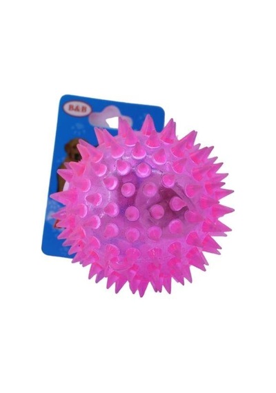 Işıklı Sesli Köpek Top Oyuncağı