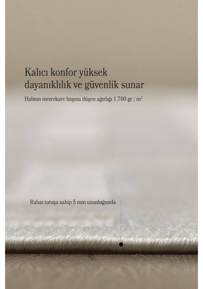 Özel Tasarım Krem Kolay Temizlenebilir, Kaymaz Tabanlı Şık Oturma Odası Ve Salon Halısı