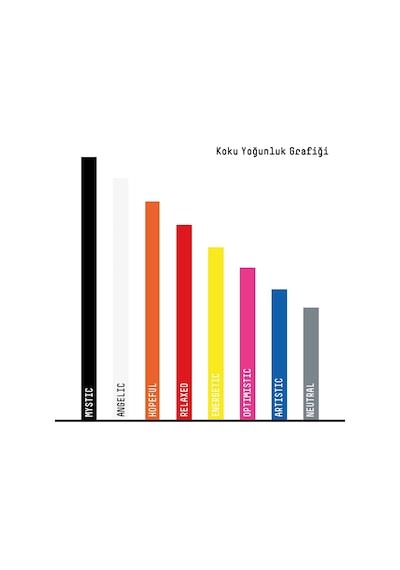 Vavana Spin Araba Klima Kokusu - Profesyonel Otomobil Kokusu / Bpa & Sıvı İçermez / 90 Gün Etkili / 2'li Set Energ