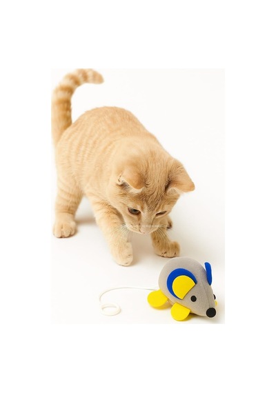 Titreşimli Fare Kedi Oyuncağı Çek Bırak İpli Hareketli İnteraktif Oyuncak Kedi Egzersiz Ve Av Oyuncağı Yavru Ve Yetişkin Kediler İçin