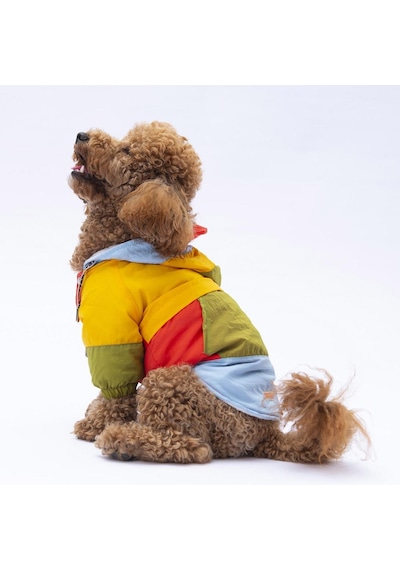 Vivid Kauai Köpek Mont Köpek Yağmurluk Köpek Kıyafeti Köpek Elbisesi