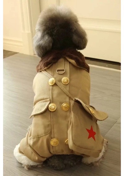 Caş Dekorasyon Bej Renk Çantalı Peluş Astarlı Xl Köpek Tulum/mont