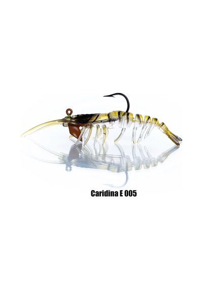 Pandora Carıdına E005