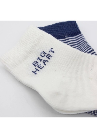 Bistyle Big Heart Penye Soket Çorap 2'li Bs10117 Lacivert Lacivert