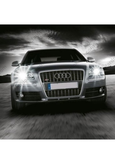 Audı A6 Xenon Oem Oto Ampulü 2004-2008 Photon D2S 4300K