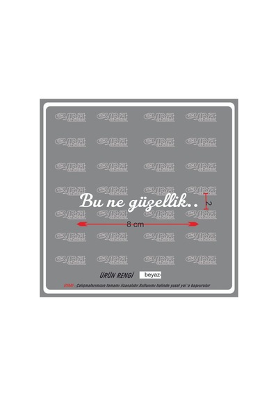 Bu Ne Güzellik Güneşlik Ayna Yazısı Araba-motosiklet Cam Etiket Sticker