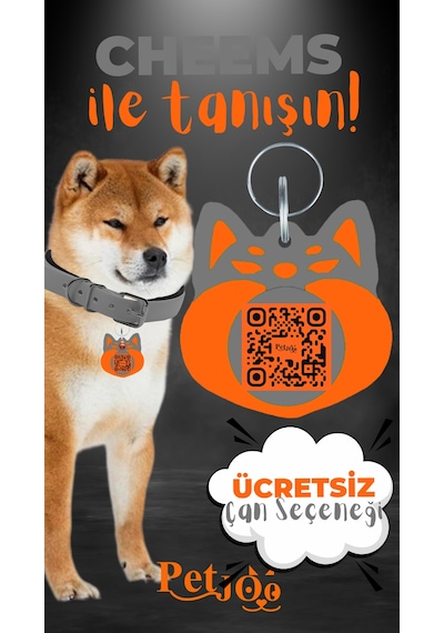 Petjoo 18.Cheems Turuncu-Gri Qr'lı Köpek Künyesi