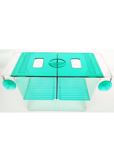 İki Bölmeli Büyük Akvaryum Balık Yavruluk Yavruluğu 20x10x10cm