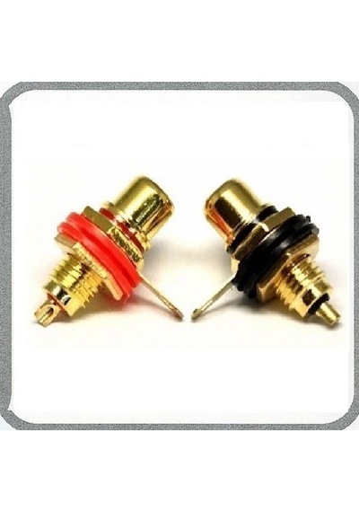 Rca Dişi Şase Gold