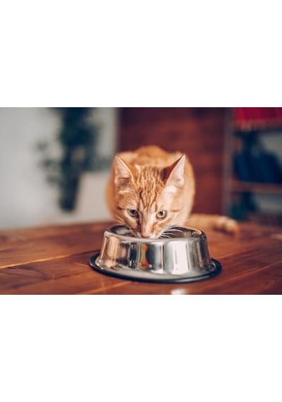 Whiskas Sığırlı Kuru 14 Kg 100 G