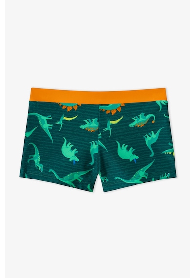 Penti Renkli Erkek Çocuk Dino Energy Trunk Mayo