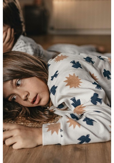 Antebies Organik Gots Sertifikalı Kuş & Güneş Desenli, Uzun Kollu Erkek Çocuk Pijama Takımı Gri Antebies Organik Gots Sertifikalı Kuş & Güneş Desenli, Uzun Kollu Erkek Çocuk Pijama Takımı Gri