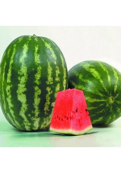 Paket Crimson Sweet Karpuz Tohumu 250 Tohum+ To
