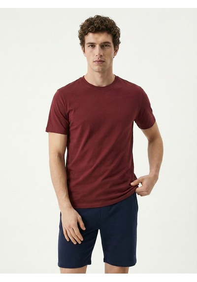 Regular Fit Erkek Tshirt K.kol Red Wine