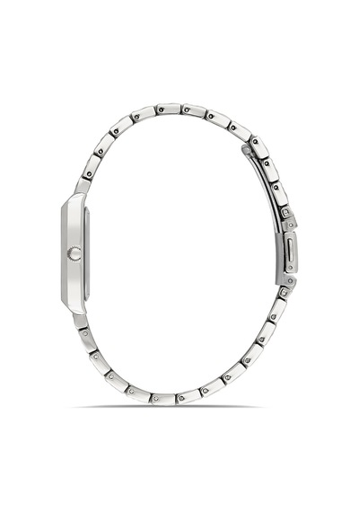 Ferro Fl21599awt-a Quartz Çelik Gri 22 Mm Kadın Kol Saati Gri