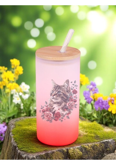 Çiçekli Kedi Baskılı Cam Pipetli Suluk Matara 600 Ml - Su Matarası Su Matara Suluk Kırmızı