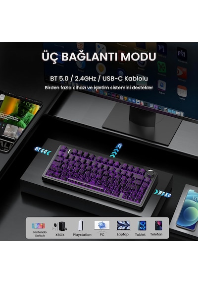 Aula F75 Mekanik Rgb Tkl Seiya Switch Kablosuz Makrolu Hot Swap Klavye Desenli Siyah