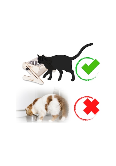 Pati Homes Kedi Mama ve Su Kabı - Yükseklik ve Açı Ayarlı