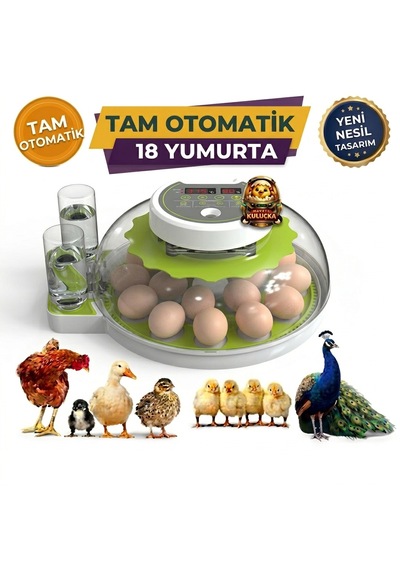 18 Yumurtalı Kapasiteli Tam Otomatik Dijital Kuluçka Makinesi