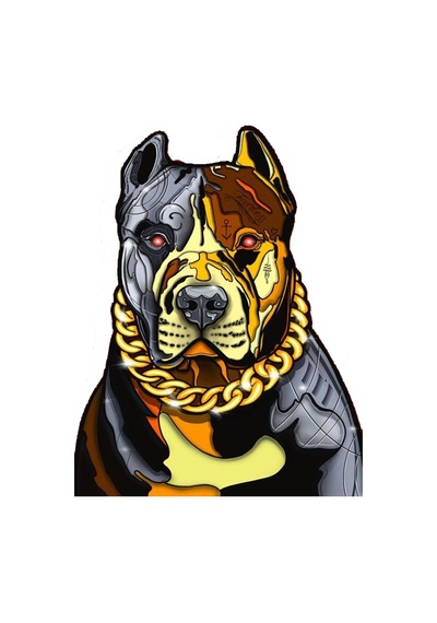 Altın Tasmalı Pitbull Araba, Motorsiklet, Kask, Laptop, Cam Sticker 14x12 Cm