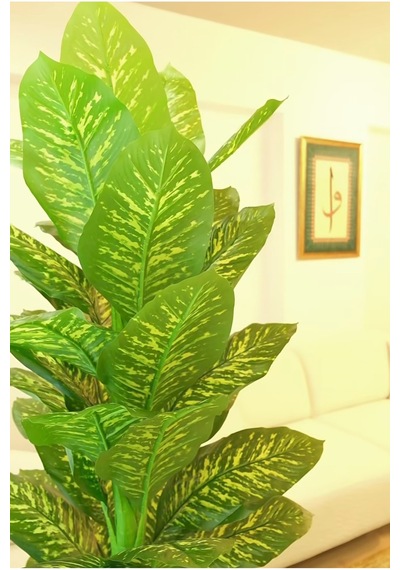 Rüzgar Yapay Çiçekçilik 170 Cm Difenbahya 25x25 Silver Saksı Yeşil