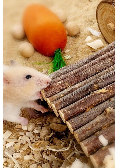 Ahşap Çubuklu Hamsterlar Için Ahşap Eğlence Köprüsü