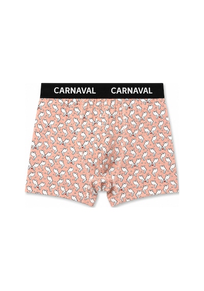 Carnaval Socks Carnaval Wild Orbit Erkek Boxer 3'lü Set Çoklu