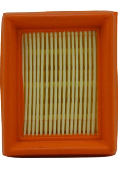 Fgd Motorlu Tırpan Fr Fs 450 480 Hava Filtre Buji Set