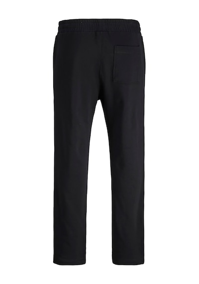 Jack & Jones Stkane Norrebro Erkek Siyah Eşofman Altı 12282553-b Siyah
